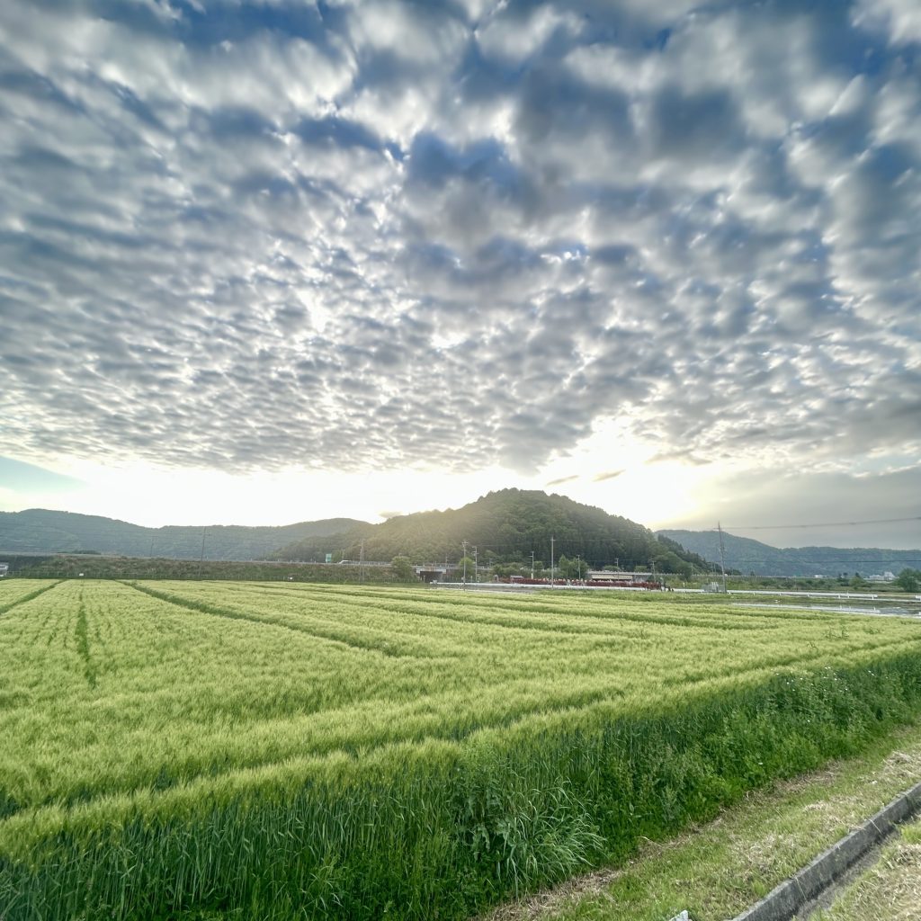 風景