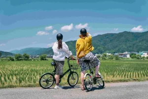 Cycling through the rice fields of Nagahama, Shiga, while enjoying mountain views near Lake Biwa